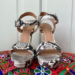Madden Girl Faux Snake Skin Pumps Size 7